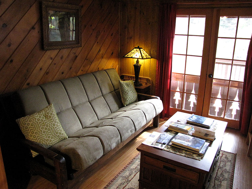 Rogue River cabin couch